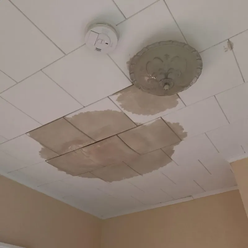 Ceiling Water Damage Repair in Zavala County, TX